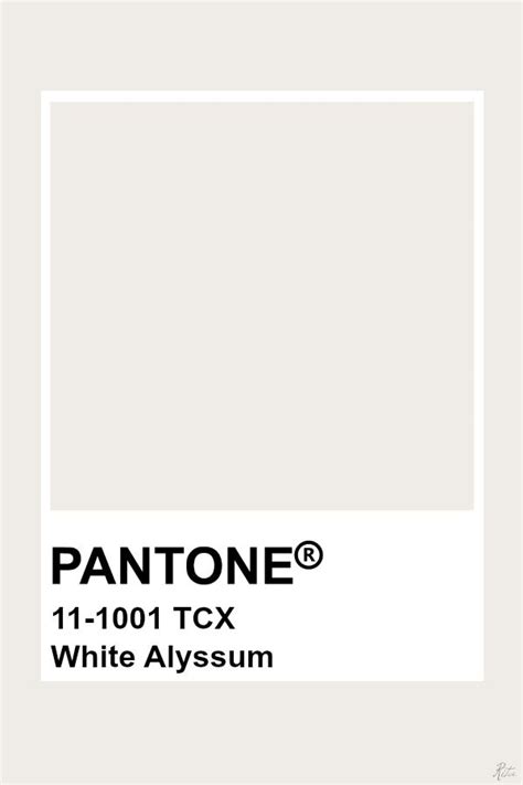 off white pantone c.